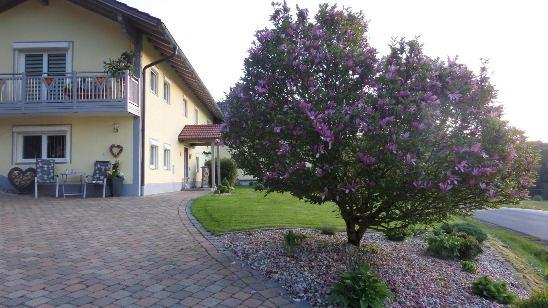 Fw & Fh Luesselfeld Apartamento Zwiesel Exterior foto